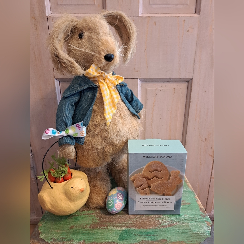 Williams-Sonoma Silicone Pancake Molds